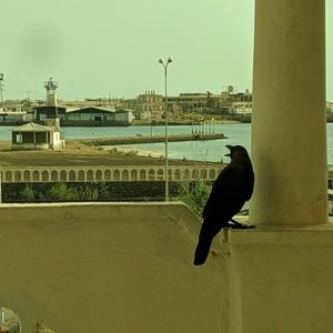 Meet your Posher, Audrey